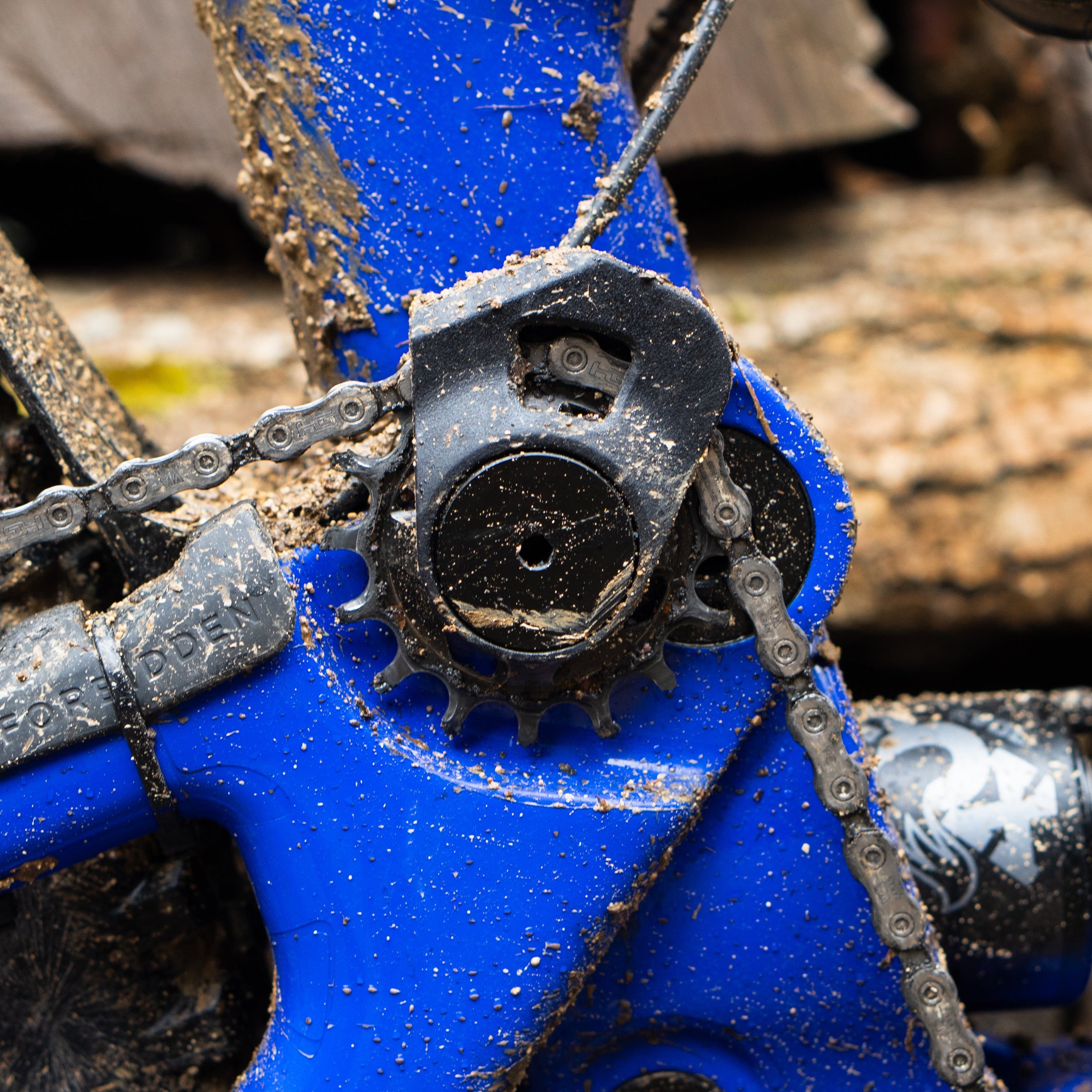 Race Guide for Forbidden Druid V1 | Dreadnought V1