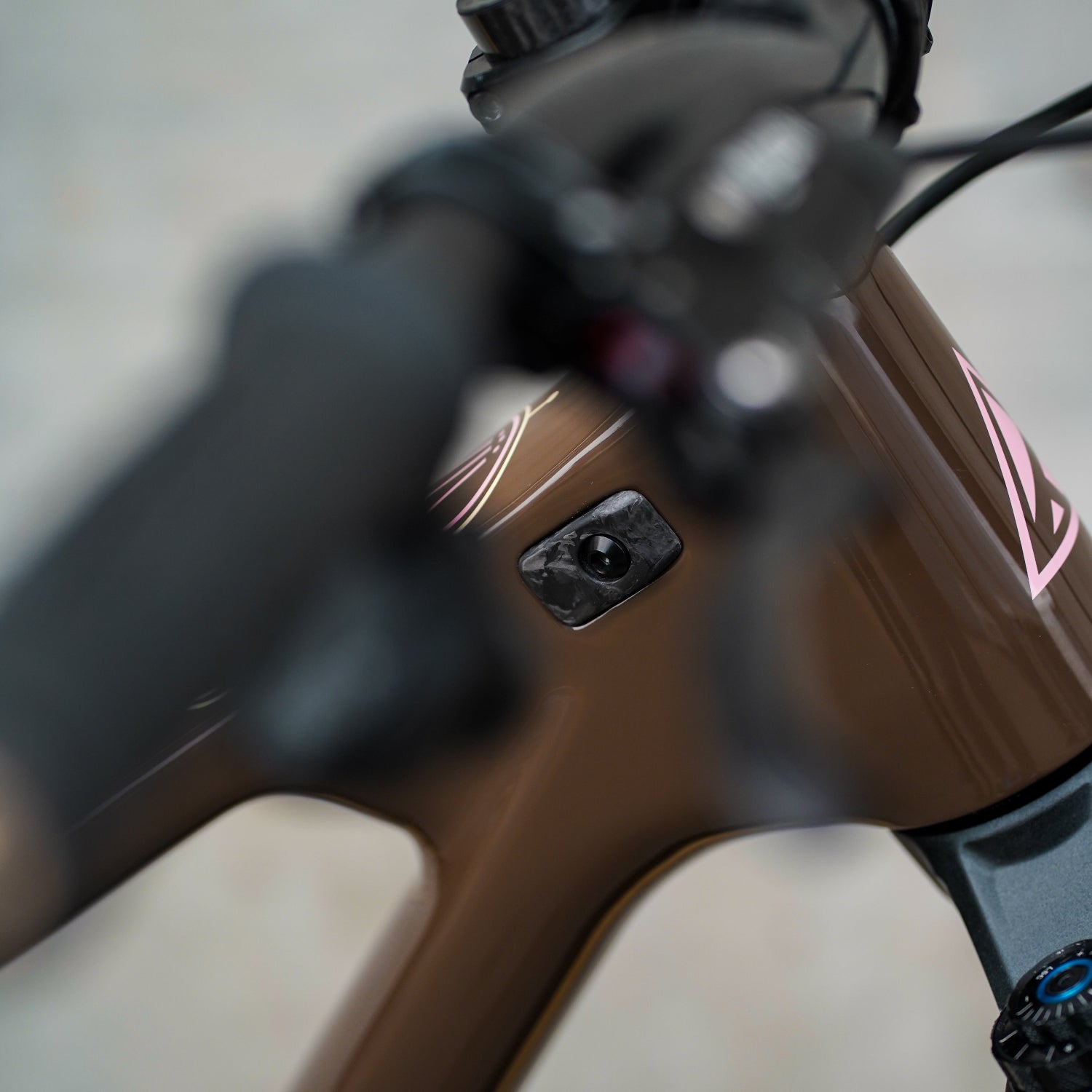 Titanium Accessory Bolt for Forbidden Bikes