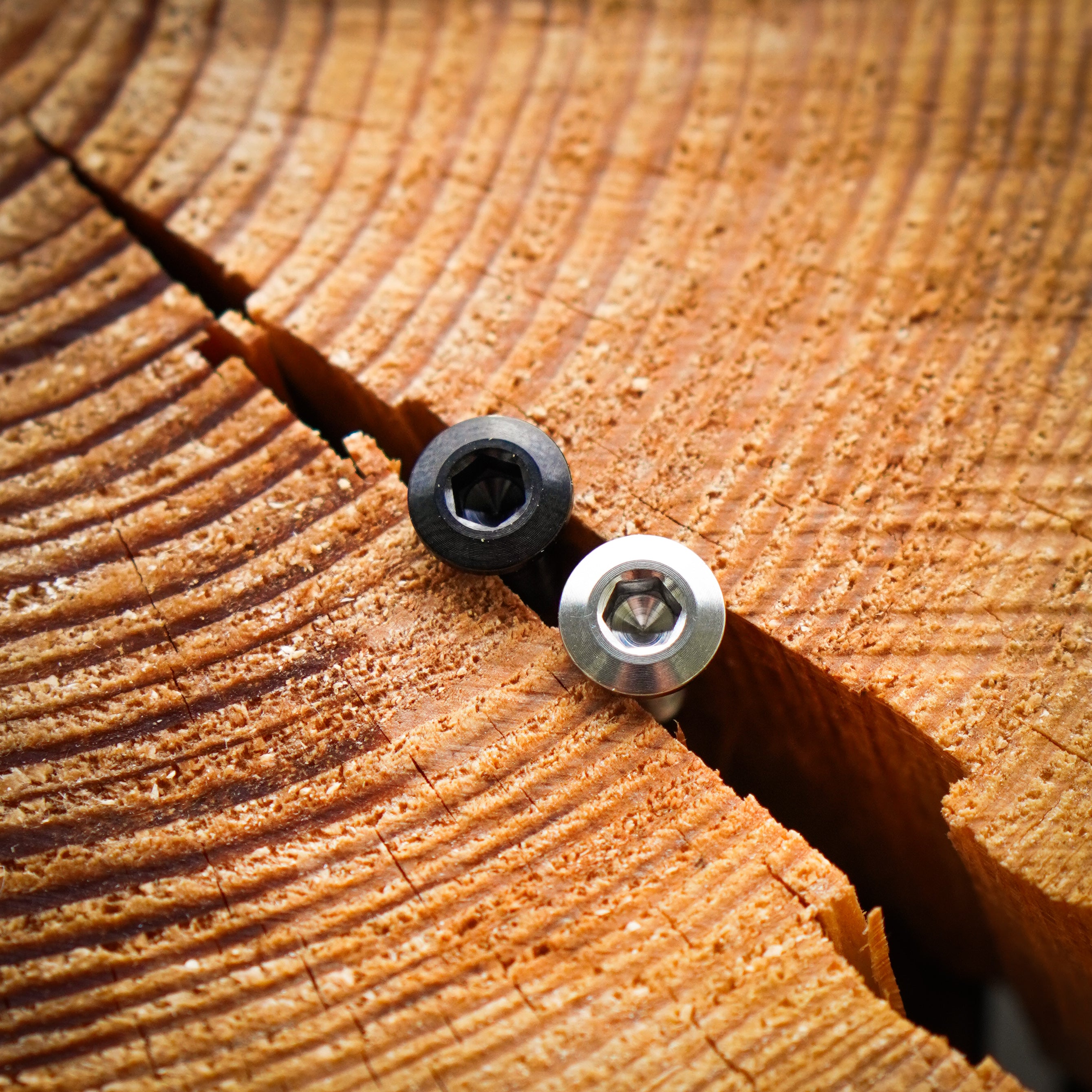 Titanium Swingarm Cable Port Bolt | Forbidden V2 Frames