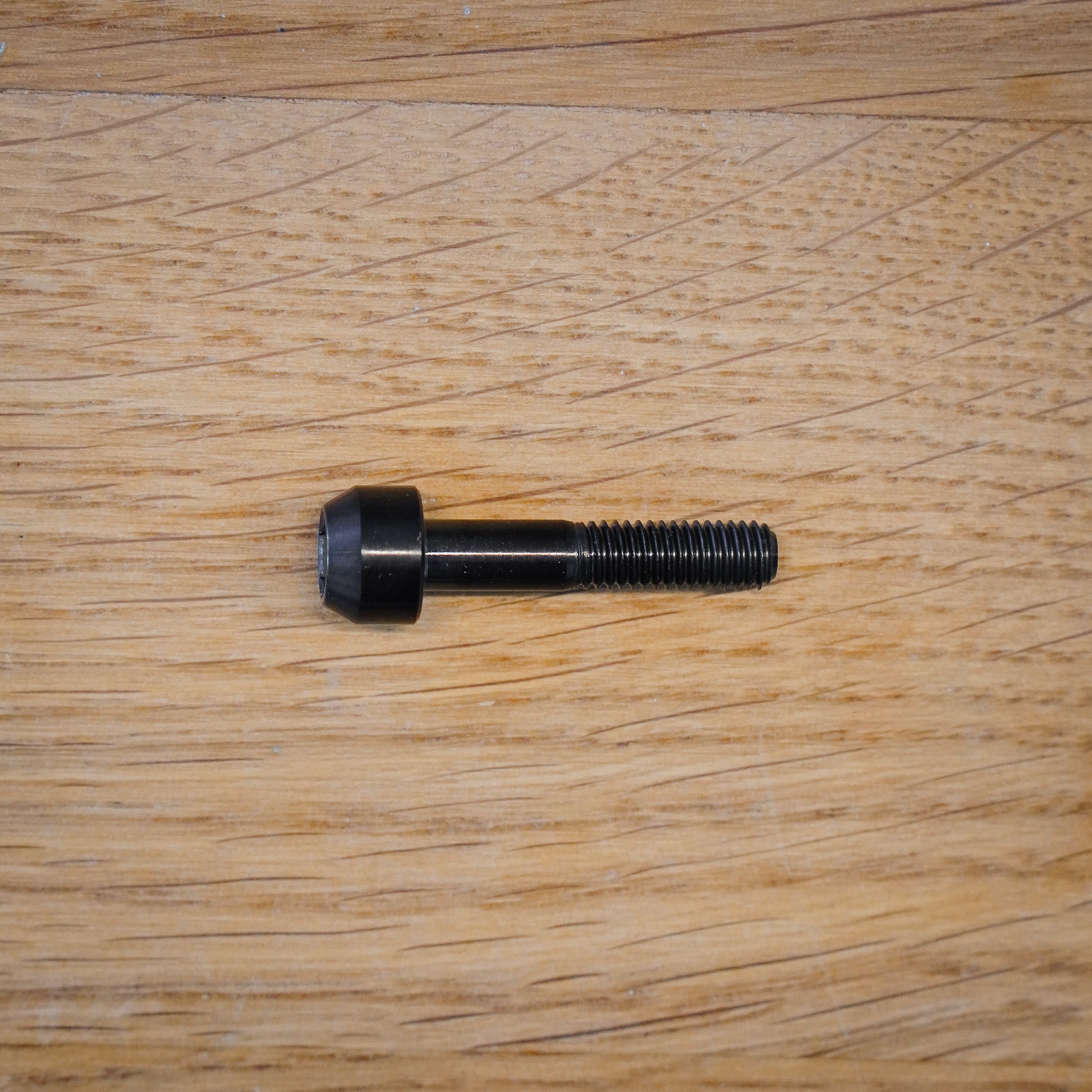 Titanium Seatclamp Bolt for Forbidden Bikes