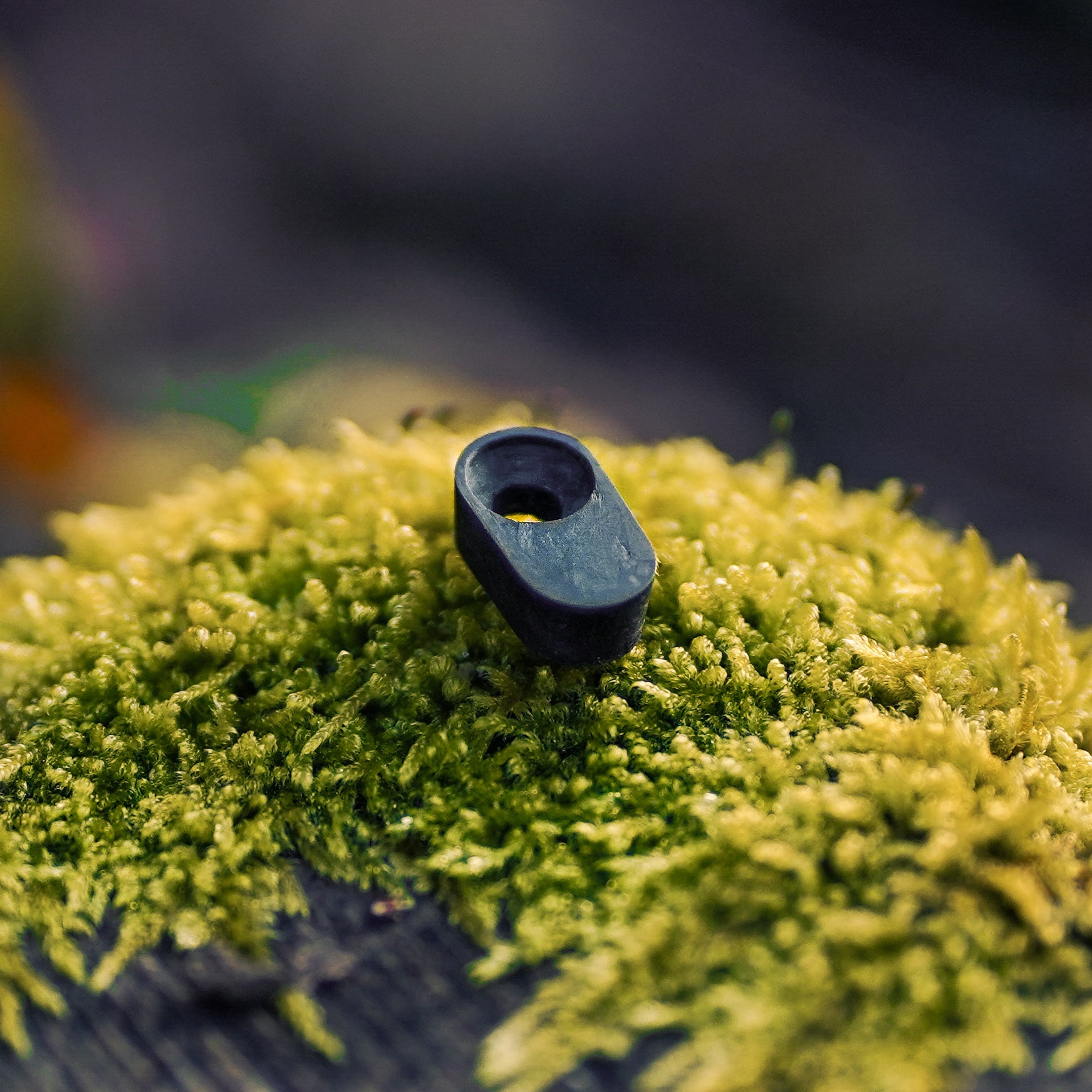 Carbon AXS Swingarm Cable Port Cover for Forbidden Druid V2 | Dreadnought V2 | Supernought