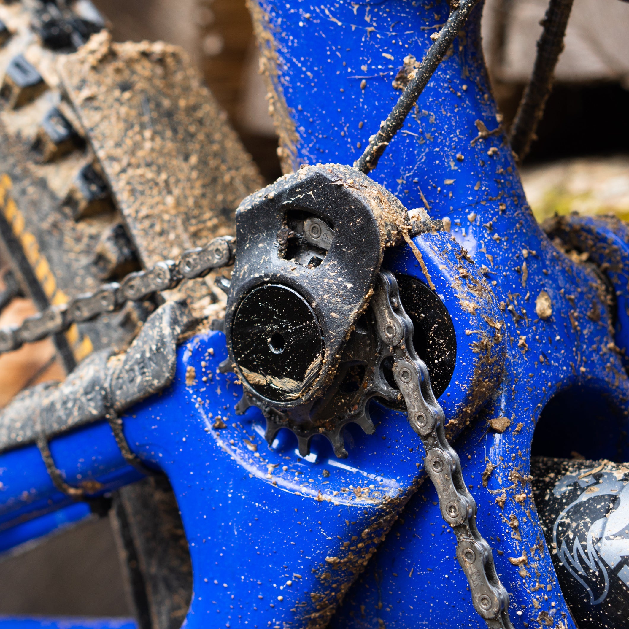 Race Guide for Forbidden Druid V1 | Dreadnought V1